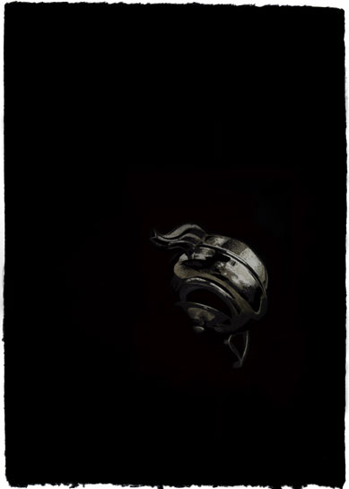 Humphries_Afterlife_2010